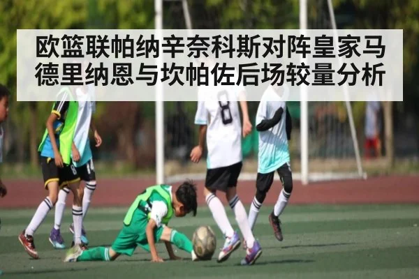 欧篮联帕纳辛奈科斯对阵皇家马德里纳恩与坎帕佐后场较量分析